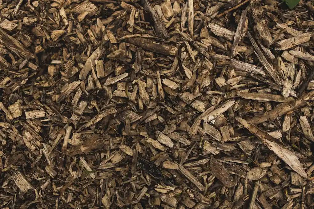 Picture of organic mulch for sale in Apex, North Carolina from Wall Recycling.