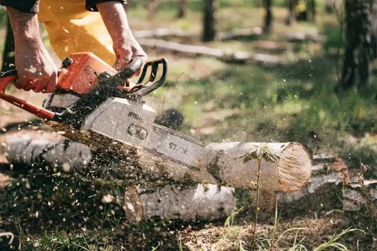 Picture of a person sawing tree branches after reading the blog about hurricane cleanup tips from Wall Recycling waste management in North Carolina.
